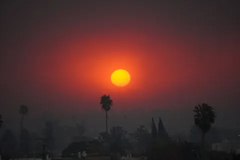 A red sun hangs over a hazy landscape lined with palm trees.