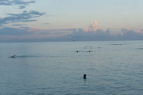 Swimmers appear as small figures in a calm sea beneath a pastel sky.