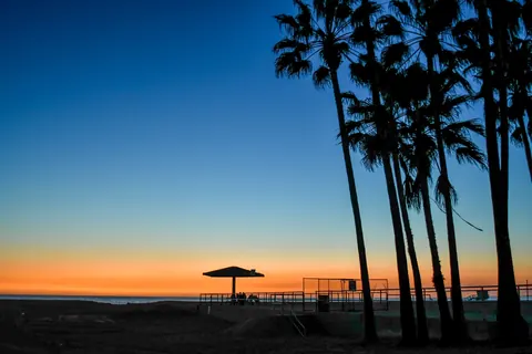 Palm trees and beach umbrellas form silhouettes against a blue-orange dusk sky.