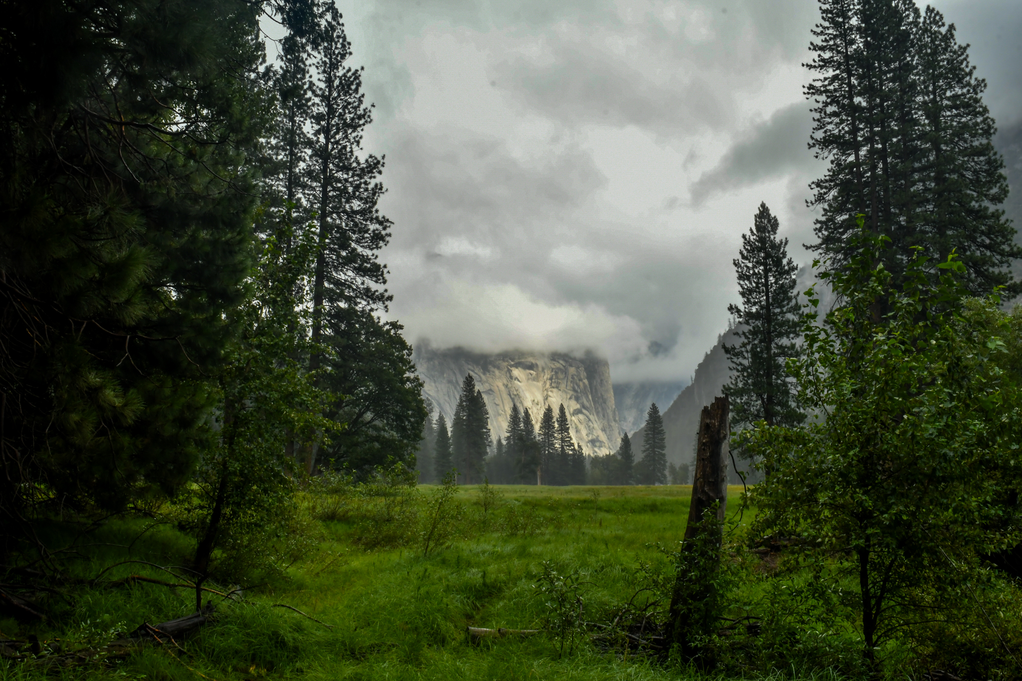 Landscape