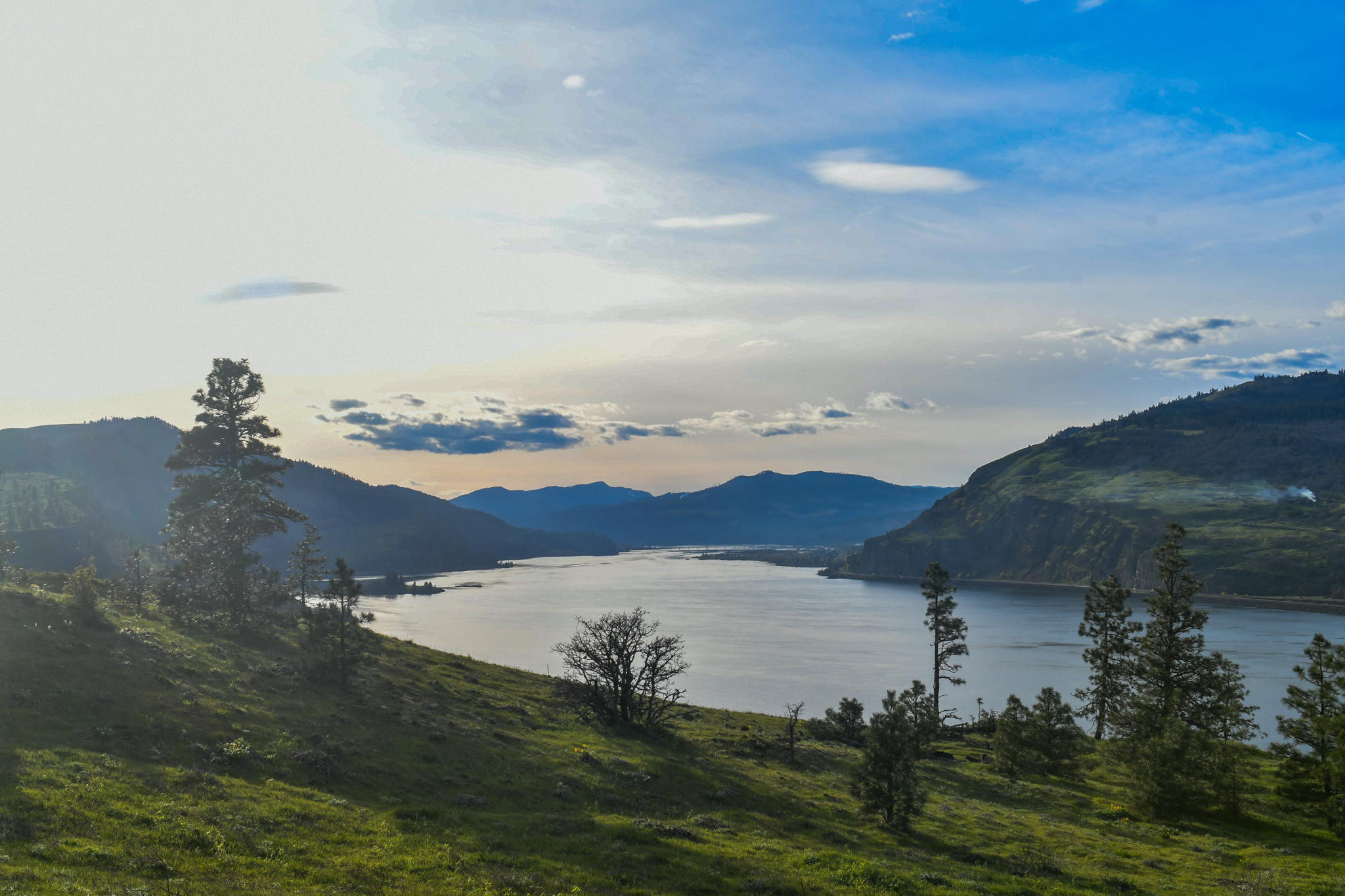 Landscape