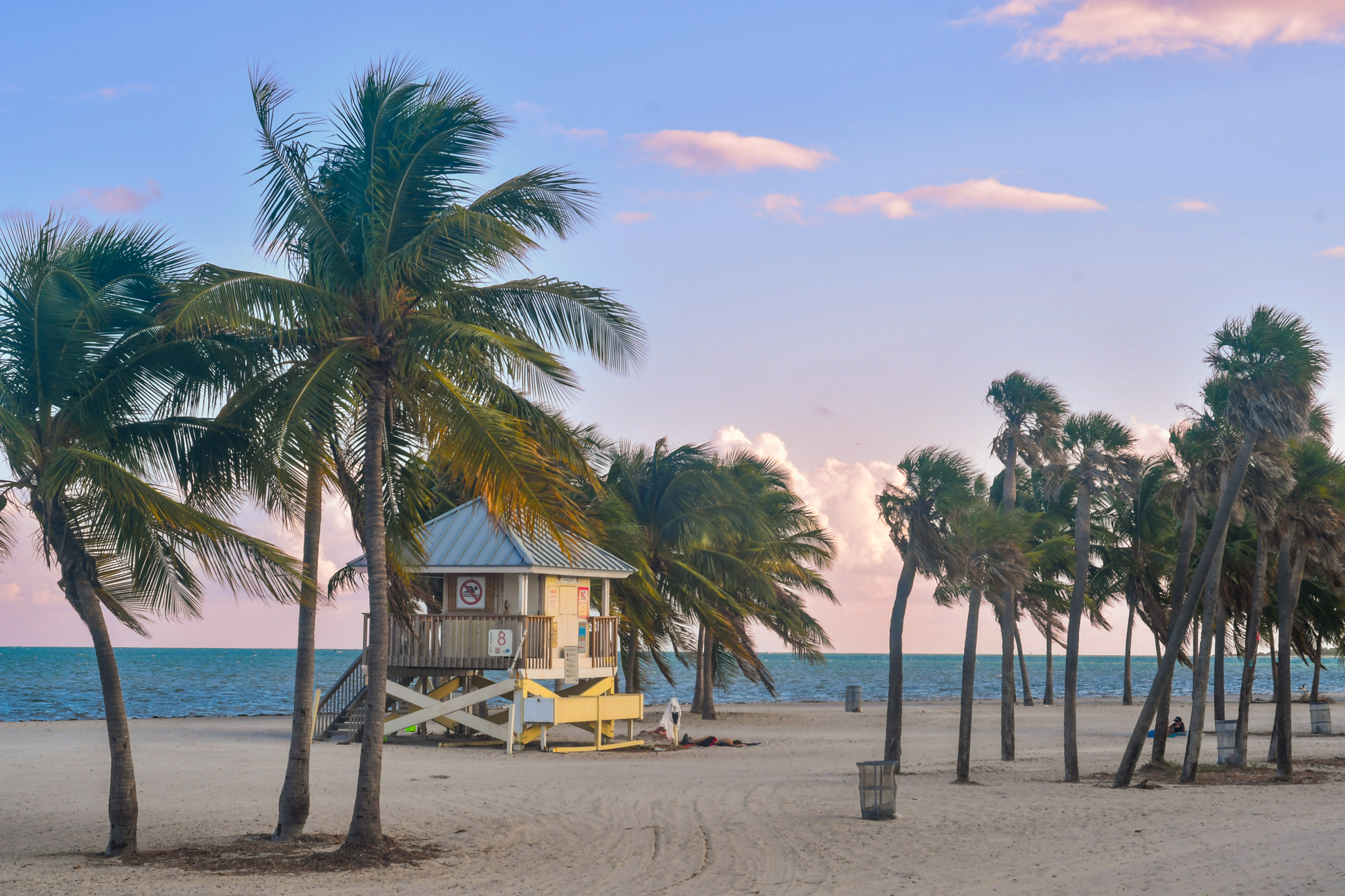 A lifeguard house and palm trees sit on a quiet beach beneath a pink sky.