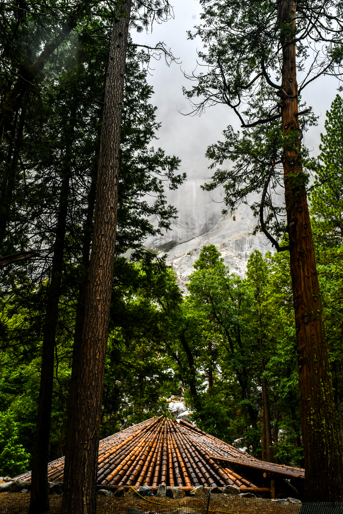 Travel